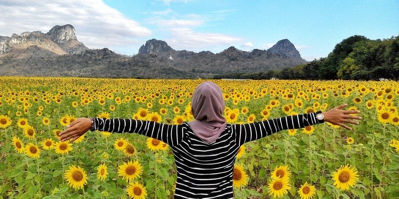 Kembara Thailand - Laos: Day 10 - Part 2 - Lopburi Sunflower Field